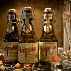 Brouwerij Lefebvre Hopus bier