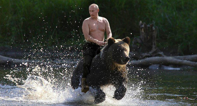 bier, poeten, putin, poetinbier, beer, bear